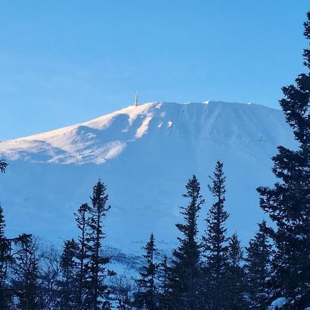 Ny Leilighet Med Flott Utsikt Til Gaustatoppen Rjukan Ngoại thất bức ảnh