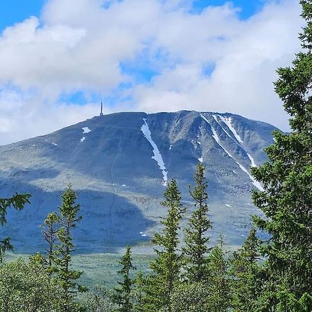 Ny Leilighet Med Flott Utsikt Til Gaustatoppen Rjukan Ngoại thất bức ảnh