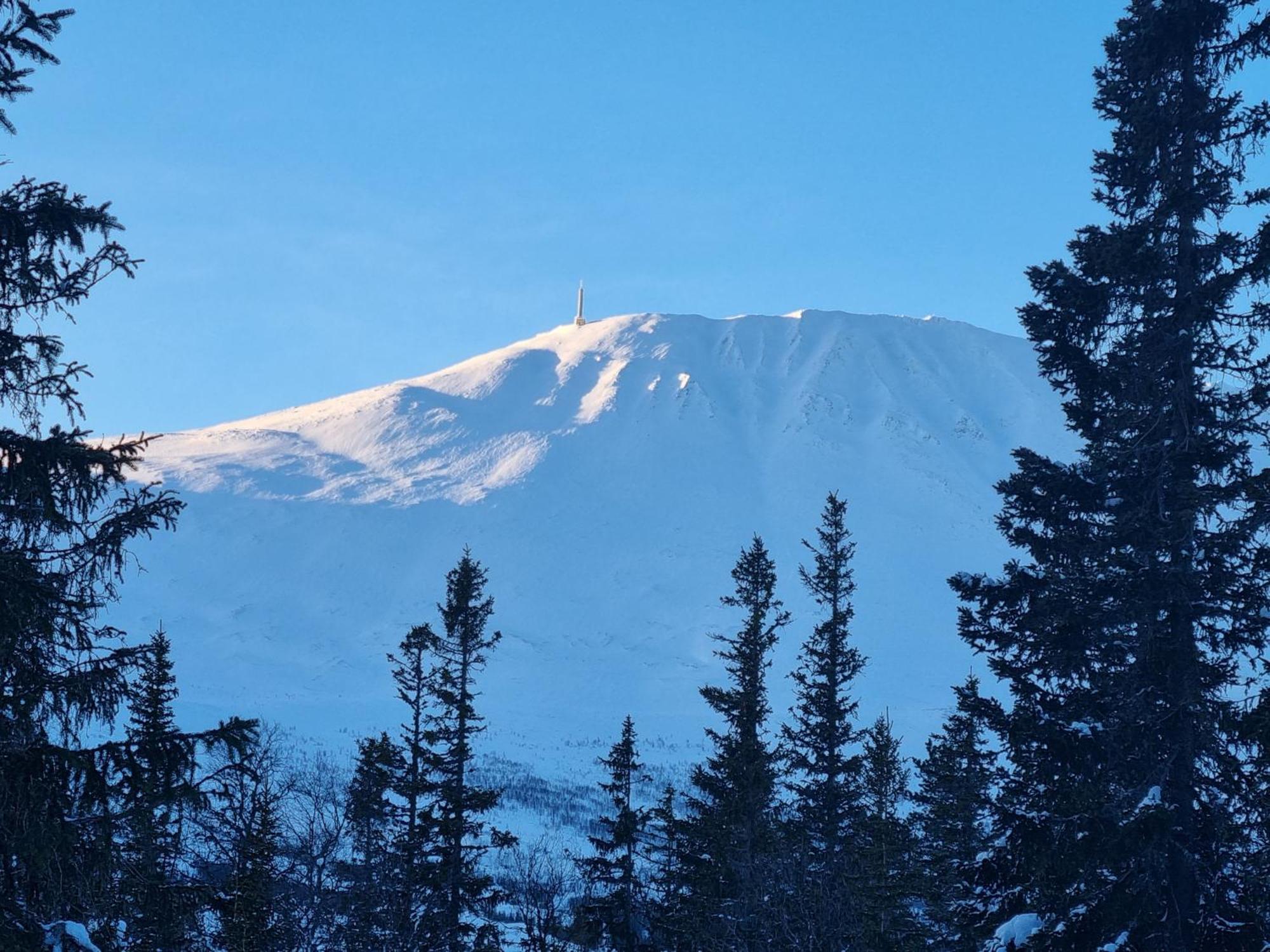 Ny Leilighet Med Flott Utsikt Til Gaustatoppen Rjukan Ngoại thất bức ảnh