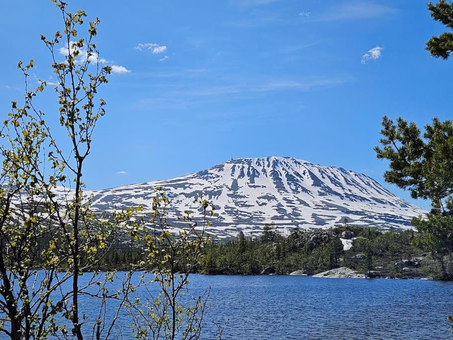 Ny Leilighet Med Flott Utsikt Til Gaustatoppen Rjukan Ngoại thất bức ảnh