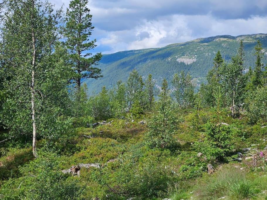 Ny Leilighet Med Flott Utsikt Til Gaustatoppen Rjukan Ngoại thất bức ảnh